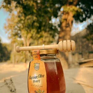 Russian Olive Honey 250 GMS