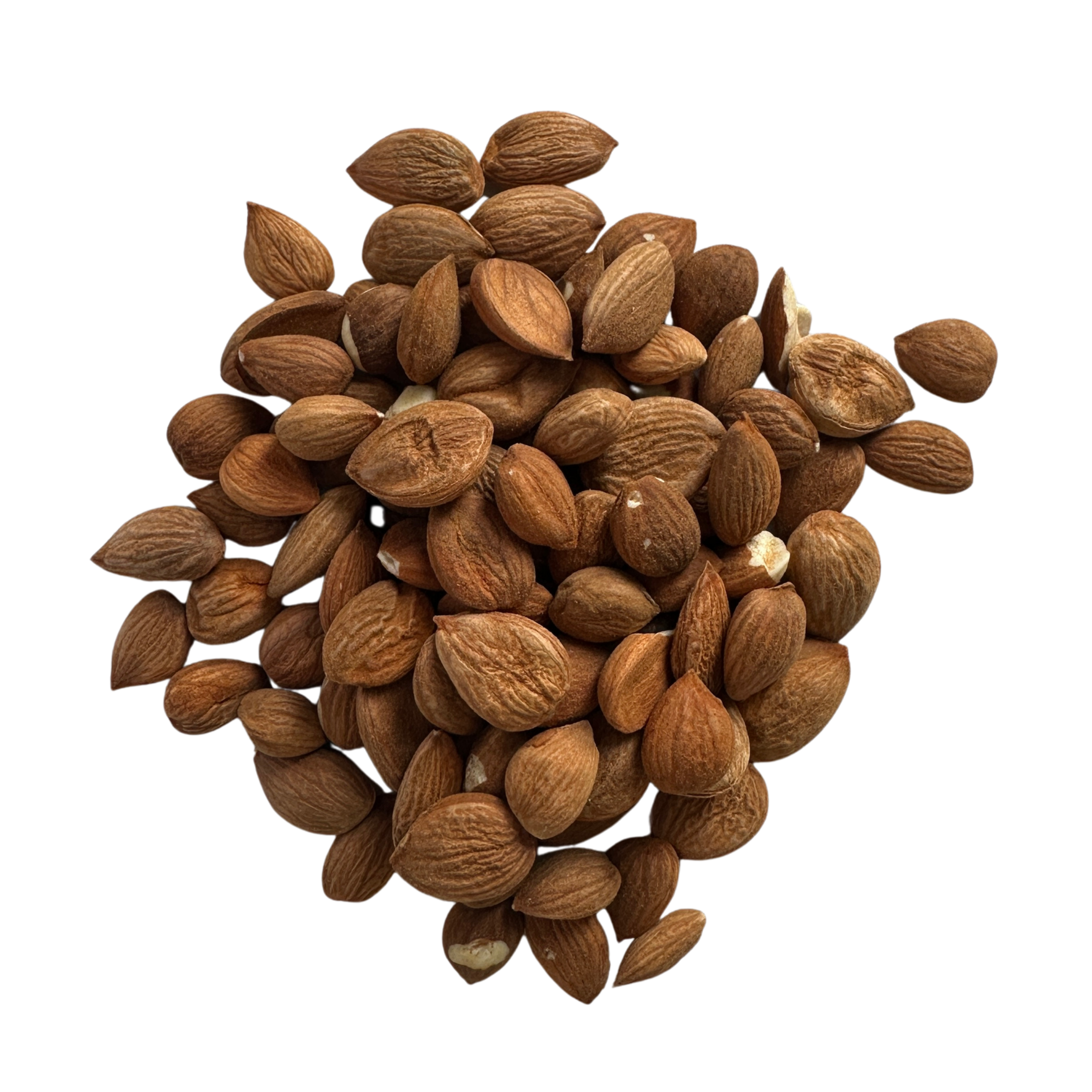 Apricot Kernels
