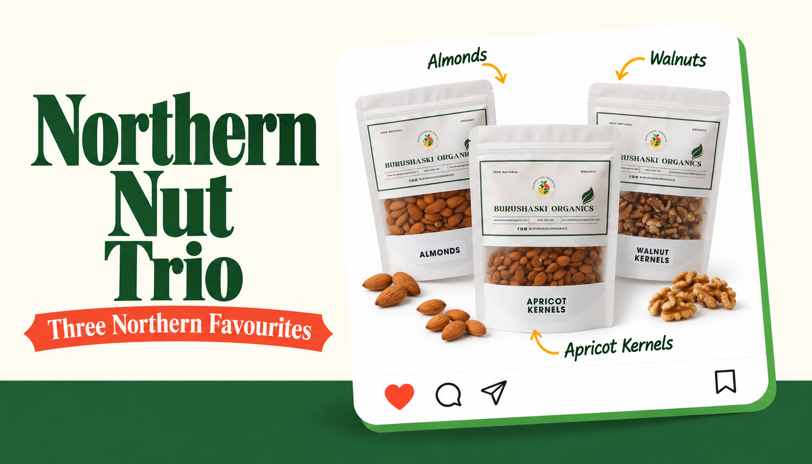 Northern Nut Trio