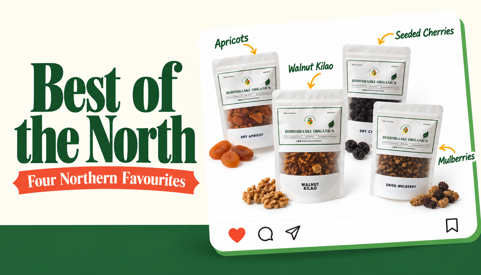 Best of the North