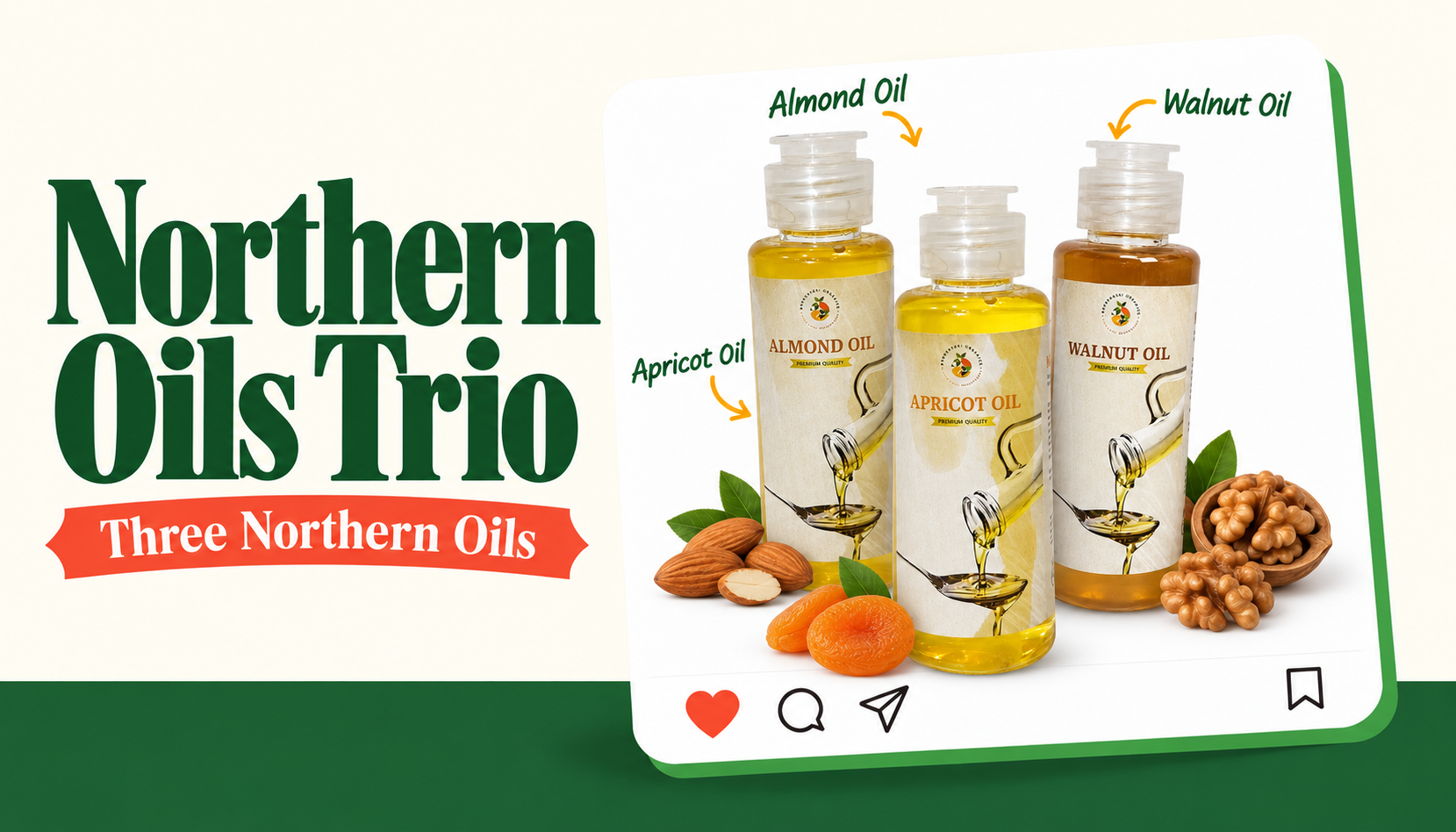 Northern Oils Trio